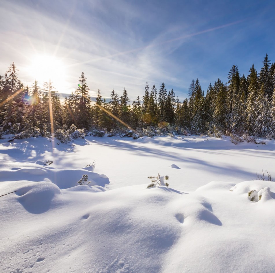 Traumhafte Winterlandschaft (c) TVB Filzmoos / Coen Weesjes