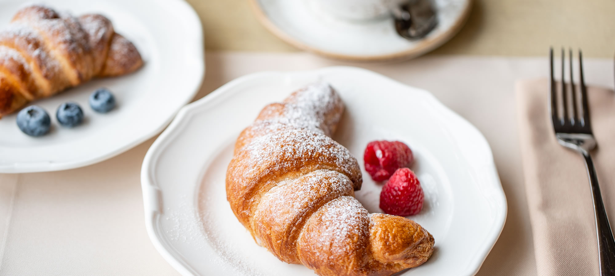 Frühstück im Hotel Alpen Villa Rieder in Filzmoos